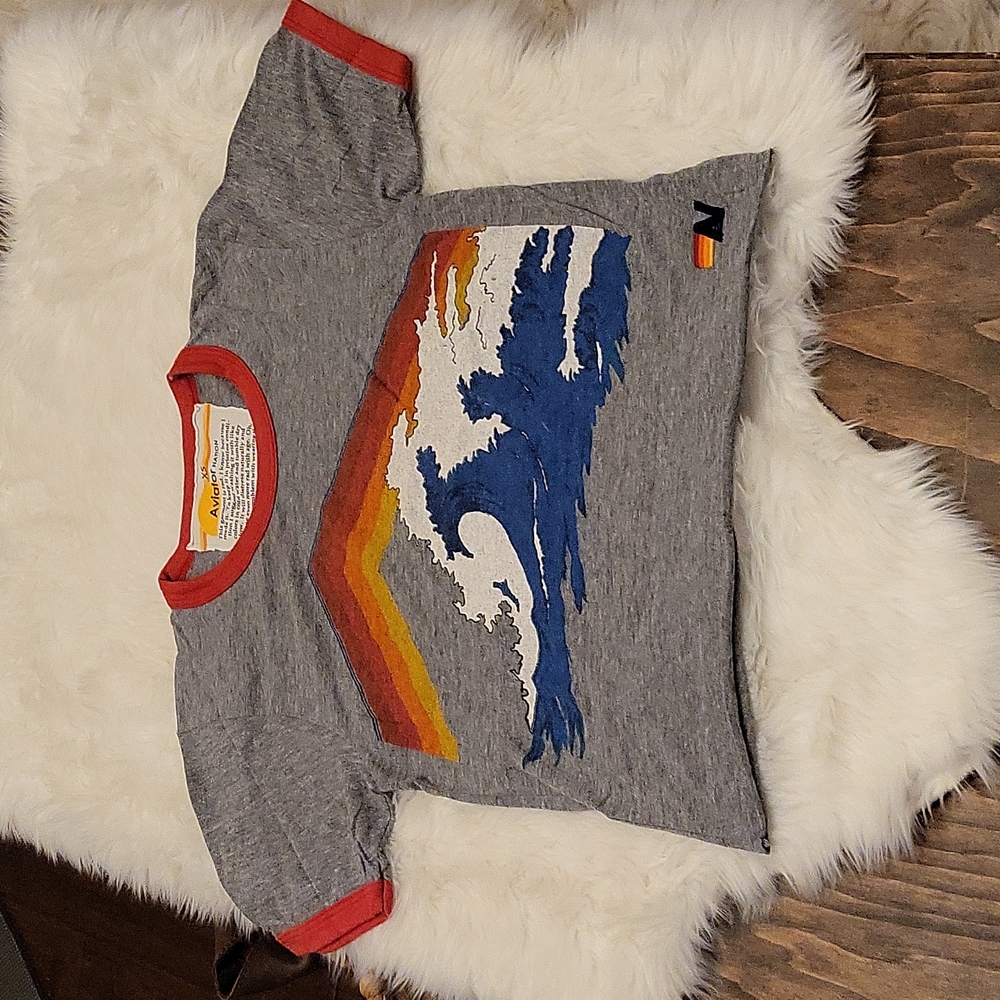 Aviator Nation Crop Tee